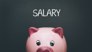 salary money payroll earnings